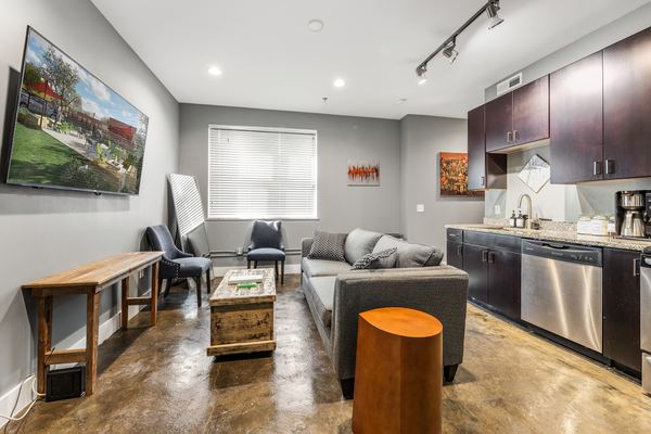 Deluxe living + kitchen