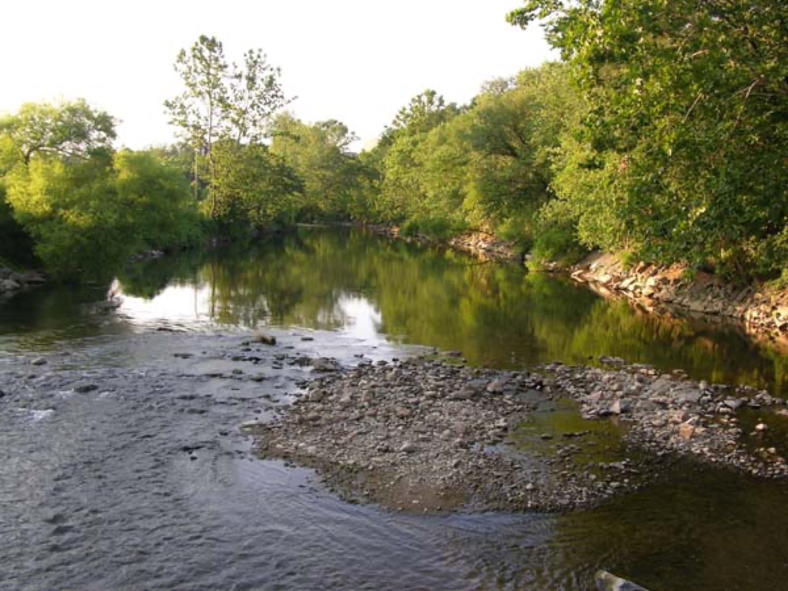 The Roanoke River in Wasena, alongside the river greenway